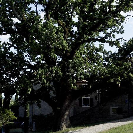 Apartament L'Abbraccio Della Quercia Momjan Zewnętrze zdjęcie