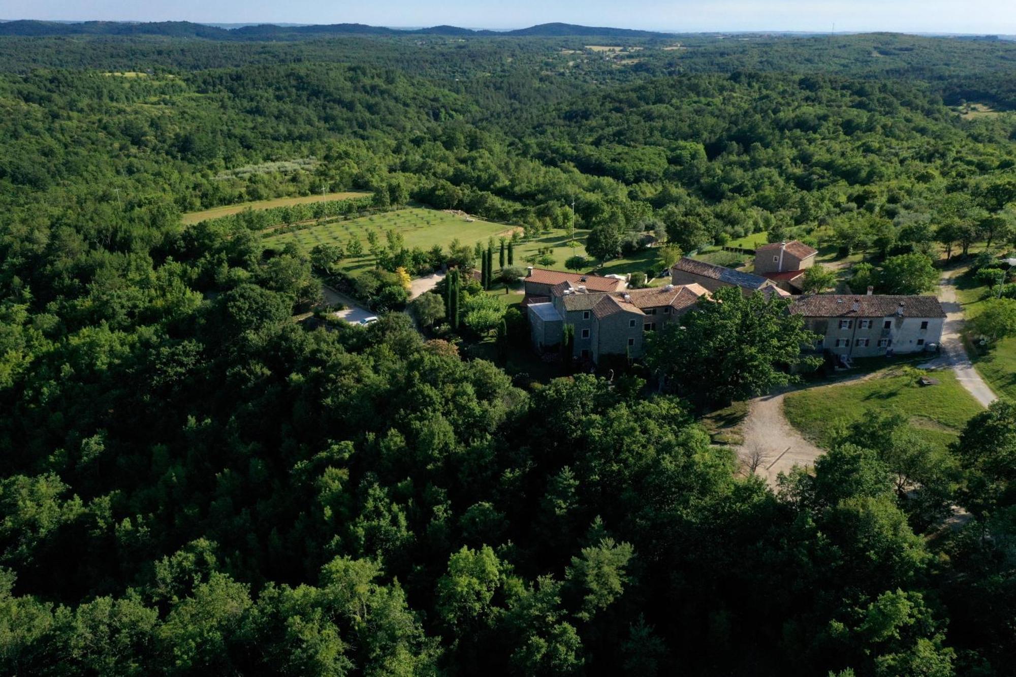 Apartament L'Abbraccio Della Quercia Momjan Zewnętrze zdjęcie